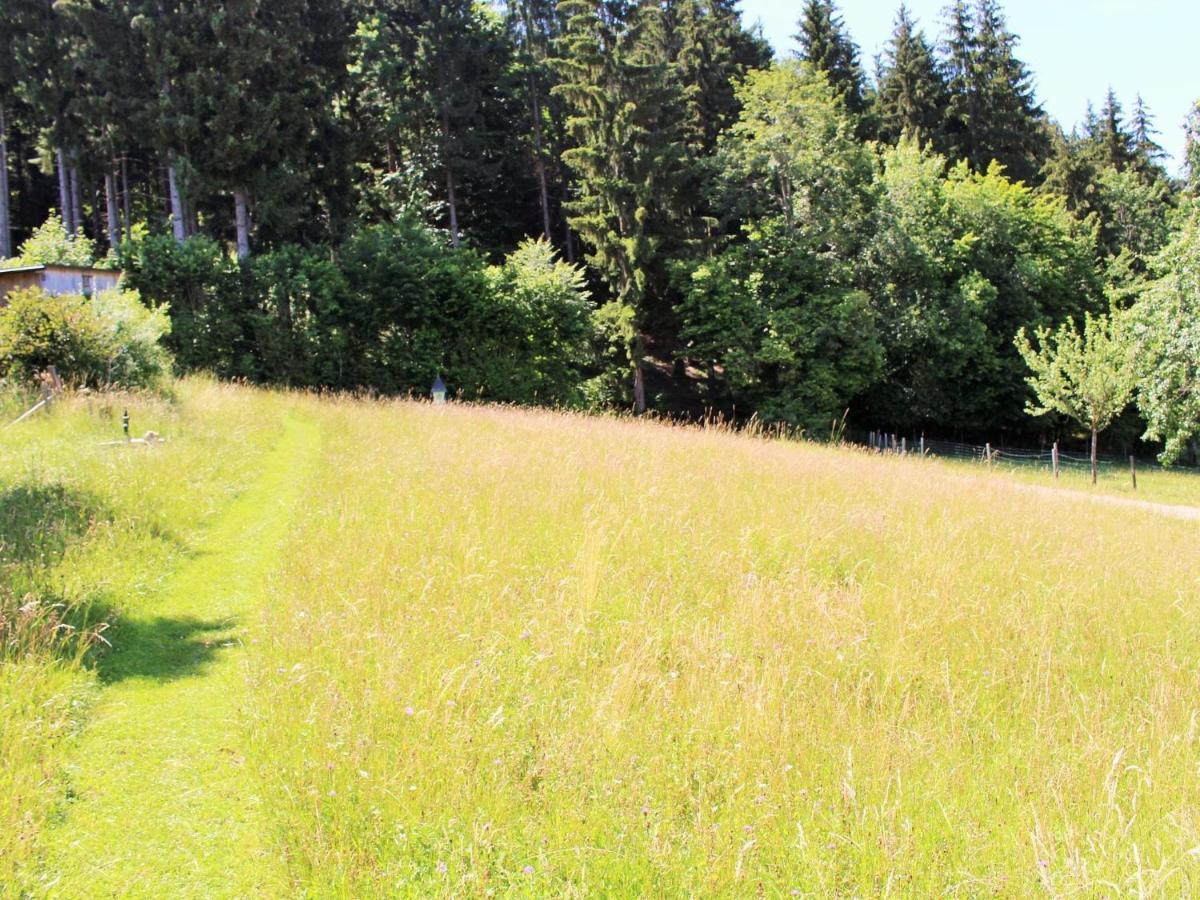 Apartment In Koettmannsdorf Near Bathing Lake Wurdach Εξωτερικό φωτογραφία