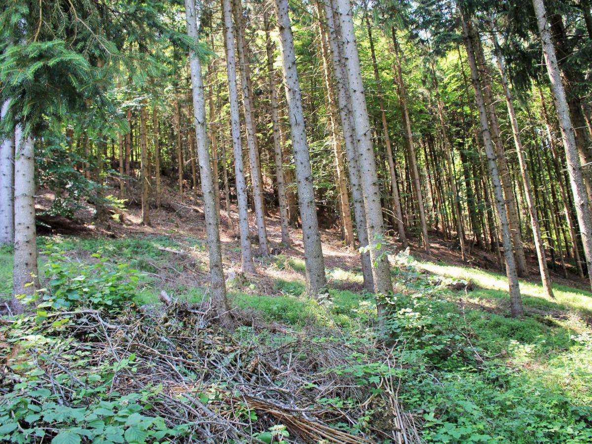 Apartment In Koettmannsdorf Near Bathing Lake Wurdach Εξωτερικό φωτογραφία